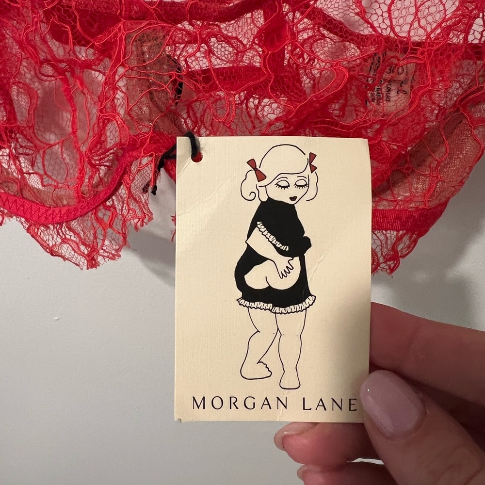 Morgan Lane bra - Picture 3 of 3